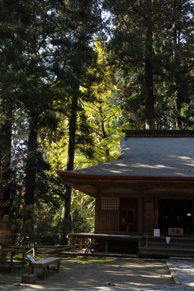 秋深し　室生寺