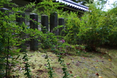 奈良　秋篠寺