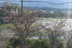 雨のち晴れ