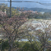 雨のち晴れ