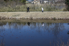 陽気に誘われて　ウオーキング