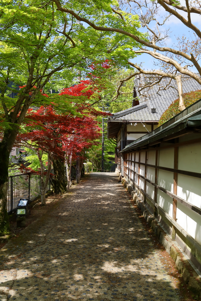 室生寺へ