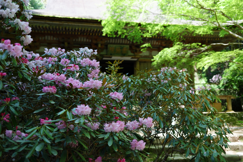 室生寺へ
