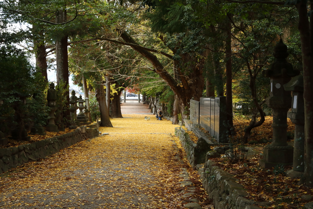 積田神社　参道帰り道