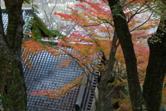 錦秋の山寺