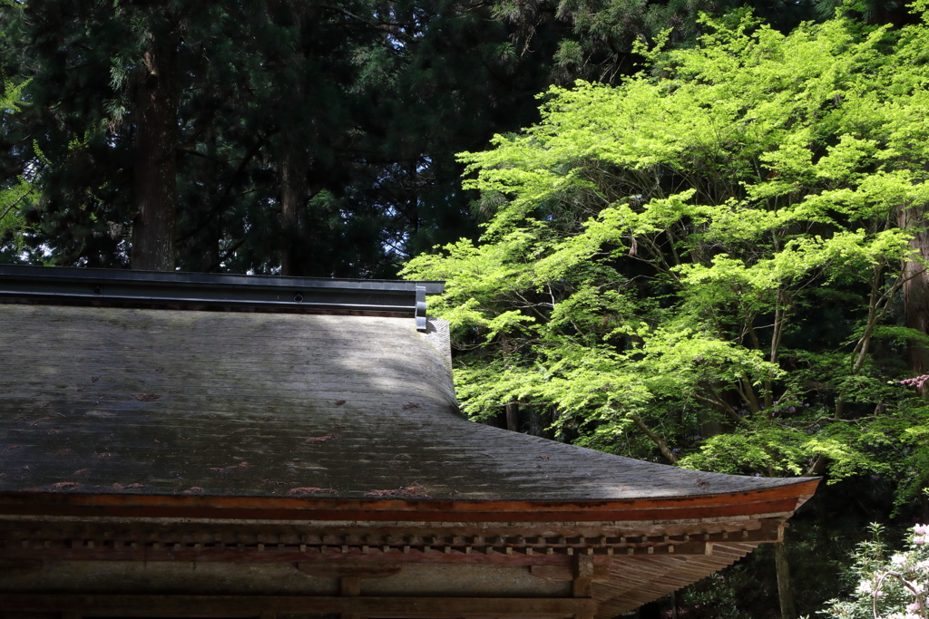 室生寺へ