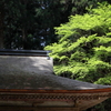 室生寺へ