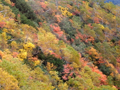 北海道　色づく大地　旭岳