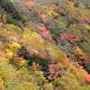 北海道　色づく大地　旭岳