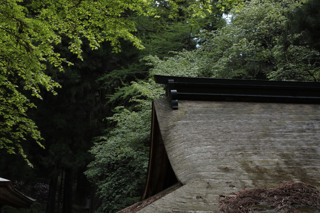 室生寺へ