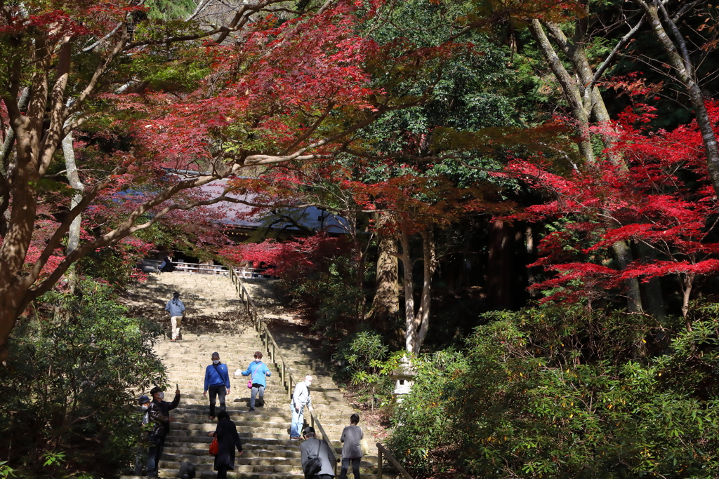 秋深し　室生寺