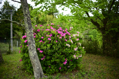 小さな公園