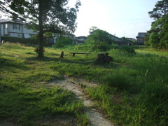 朝散歩