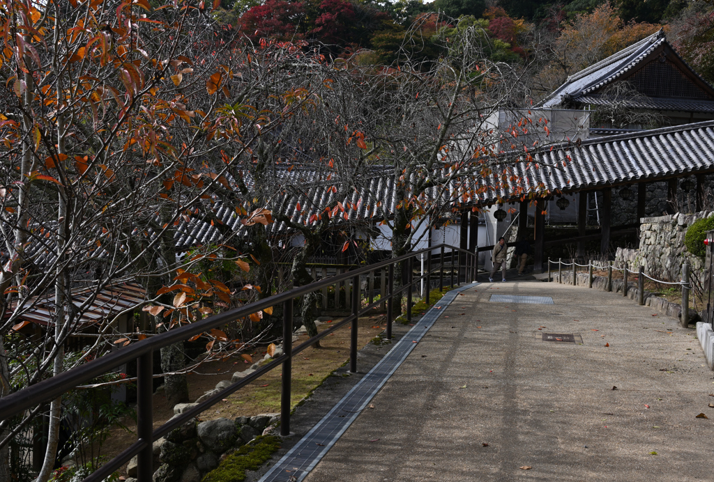 長谷寺　秋景色