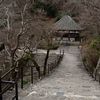 冬　長谷寺