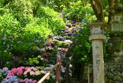 花の長谷寺