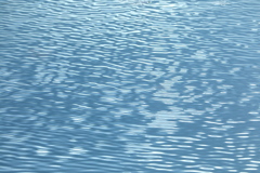 波　WAVE