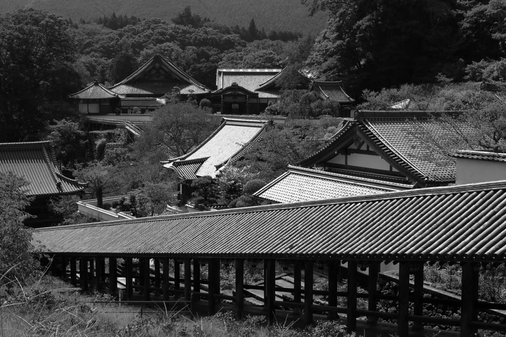 長谷寺登廊