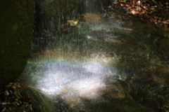 虹の水滴