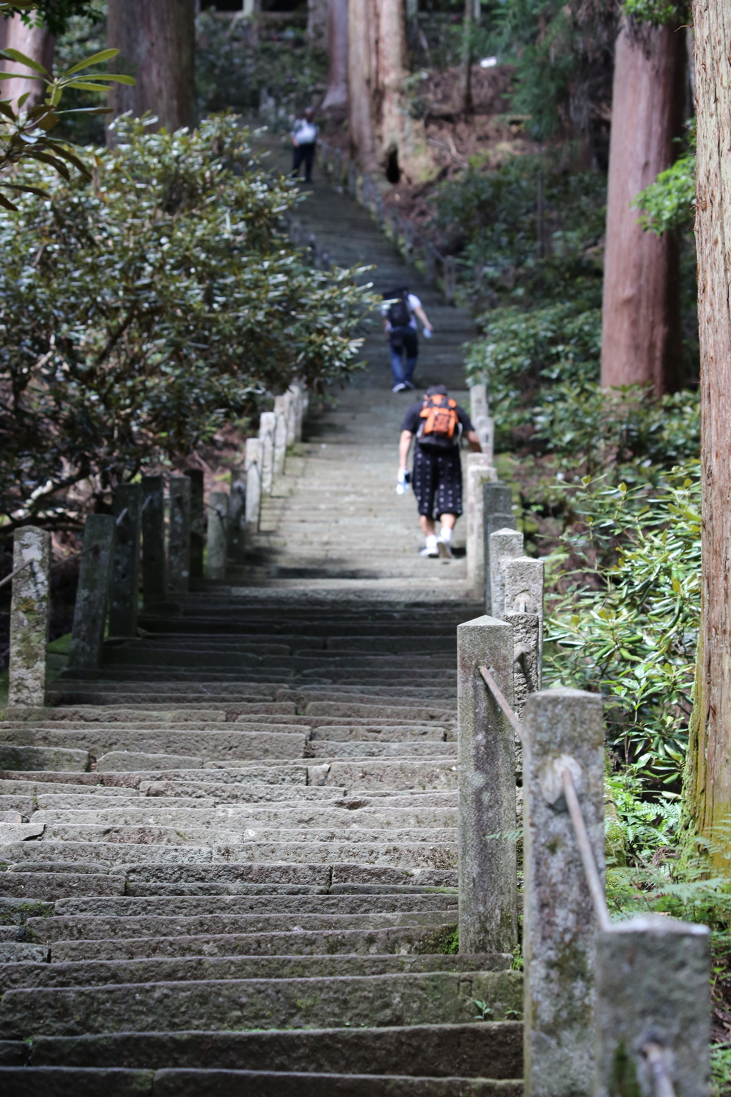 Steps to Heaven 室生寺の石段