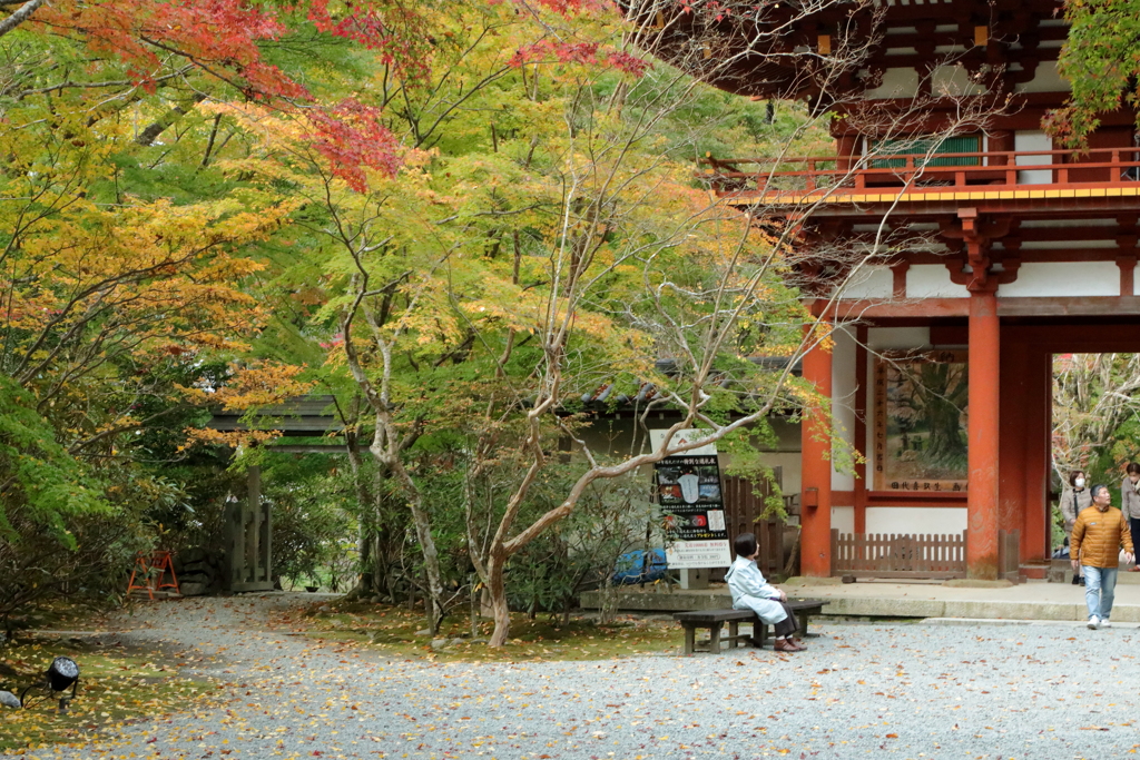 秋に染まる室生寺