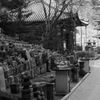 長谷参り