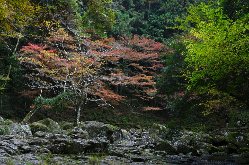 赤目渓谷