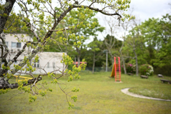 小さな公園
