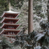 厳冬の室生寺