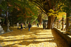 積田神社の紅葉