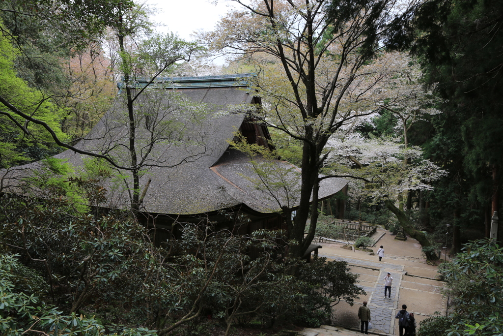 室生寺　幽邃