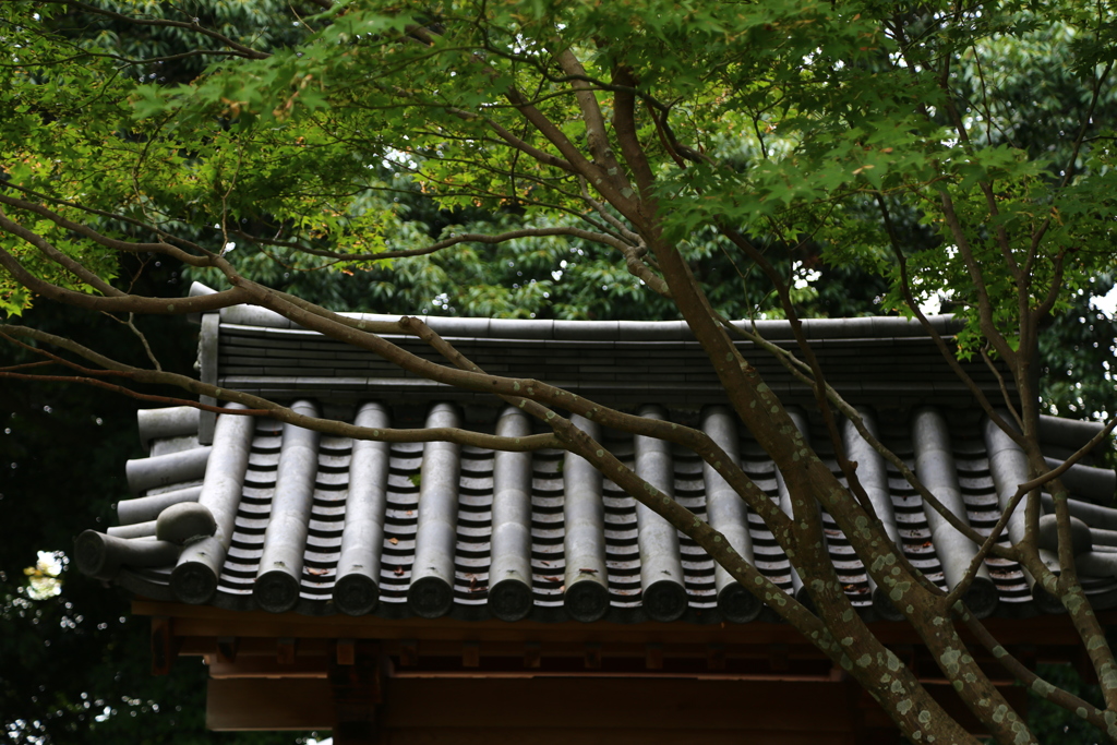 奈良　秋篠寺
