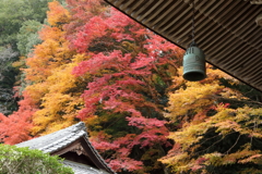 室生寺の秋