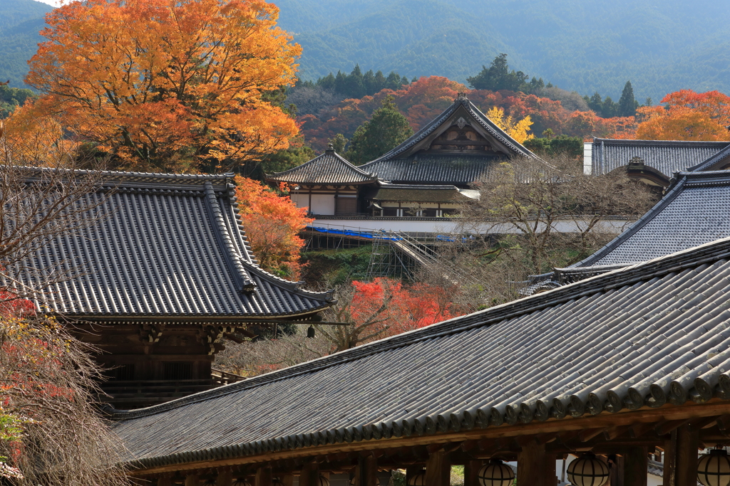 錦の山寺