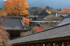 錦の山寺