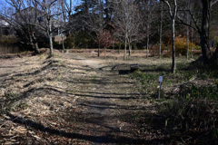 師走のブラ散歩