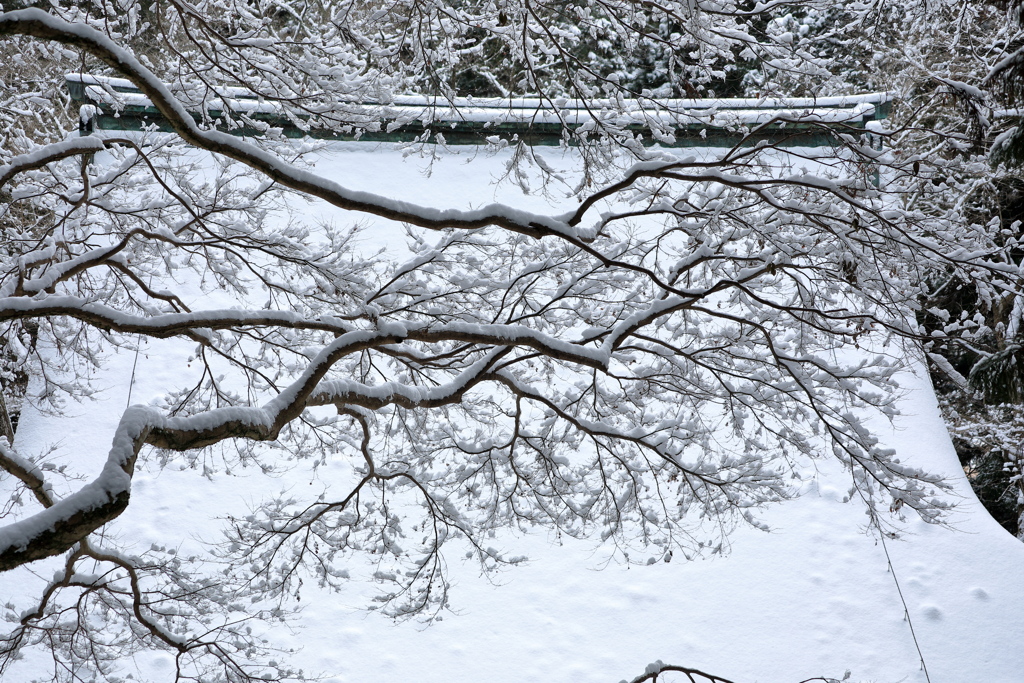 雪の室生寺