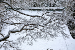雪の室生寺