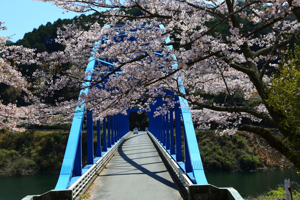 BLUE & PINK
