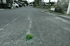 私の道