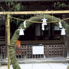 夏越しの祓い　茅の輪