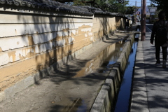 奈良　西の京