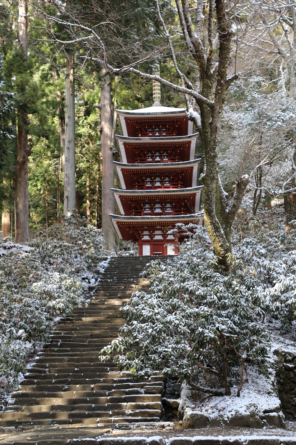 厳冬の室生寺