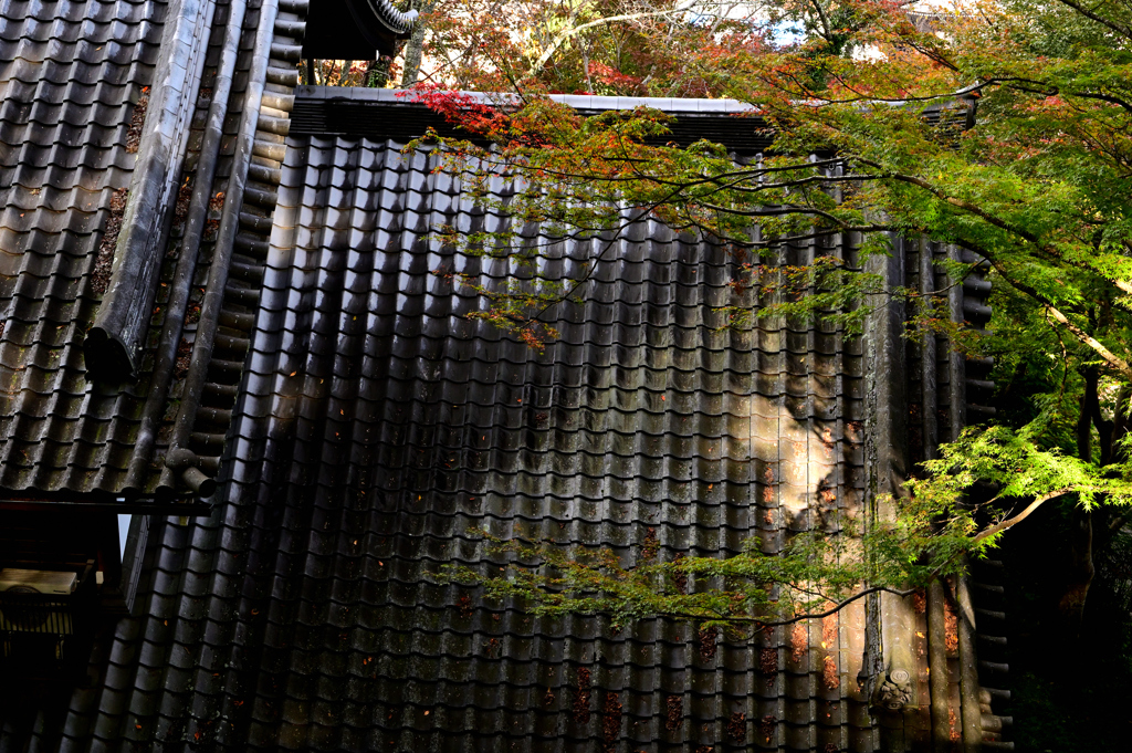 長谷寺　秋景色