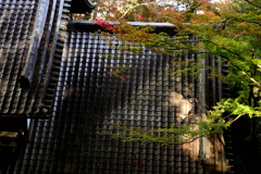 長谷寺　秋景色