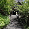 夏の長谷寺