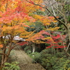 室生寺の秋