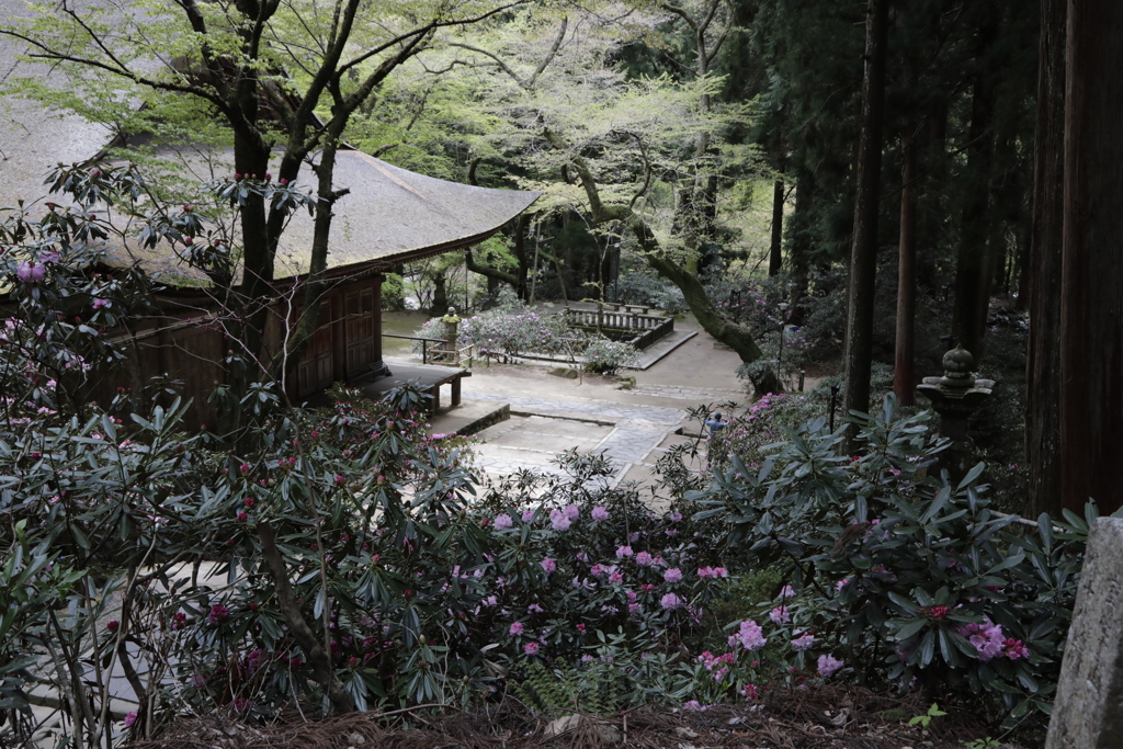 石楠花の寺