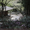 石楠花の寺