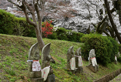 奈良の安倍文殊院へ